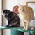 Chris Schneider Fenster's profile image