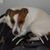 Steve Cramer's profile image