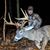 Justin Weddle's profile image