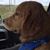 Bobbi Mead's profile image
