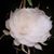 Pamela Rosado-Garwood's profile image