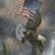 Mike Senior's profile image