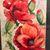 Lisa Jones Craft's profile image