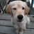 Corinne Despierre-Corporon's profile image