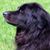 Lisa Haswell's profile image
