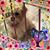 Nancy Summer's profile image
