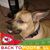 Patricia Hein's profile image