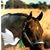 Robison Ranch's profile image