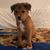 Kathy Williams's profile image