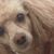 Sandy Roses Milligan's profile image
