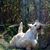 Nancy Schaus's profile image