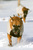 Denise C.'s profile image