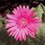 Melissa Mitchell Burrowbridge's profile image