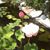 Denise Dale Carter Schuh's profile image