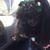 Margaret Ann Rogers's profile image