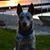 Lindsay Dayle's profile image