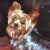 Kim McCord's profile image