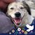 Frank Lehn's profile image