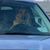 Sarah Milone's profile image