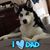 Nanci Nelson Taylor's profile image