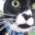 Terese A. Panebianco's profile image
