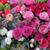 Pat Bittinger's profile image