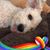 Marcy McFadden Matyas's profile image