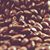 Carrie Bailey Knepper's profile image