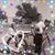 Carol Hendrick Kiphart's profile image