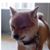 Eduardo Rodriguez's profile image