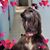 September Pollack's profile image