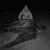 Laura Wenk's profile image