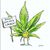 Scott Hainline's profile image