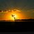 Evaristo Saucedo's profile image