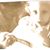 Adelle Medberry's profile image