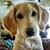 Connie Graybeal's profile image