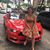 Ragini Verma's profile image