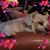 Edie Hunter's profile image