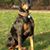 Barb Jeneen's profile image