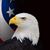 Joe Forcier's profile image