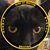Gary Raddi's profile image