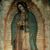 Nancy N. Cabrales's profile image