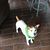 Deb Dellinger Jepson's profile image