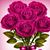 Zaida E. Ramos Hernández's profile image