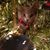Karen Hartline Williams's profile image