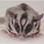 Sloan Ayers's profile image