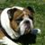 RuthieandHeath Ruppert's profile image