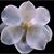 Gerry Landry Sheffield's profile image
