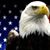 Robert Stringfellow's profile image