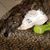 Wendy Oppermann's profile image